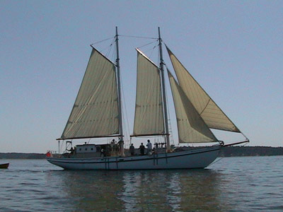 SailMycia